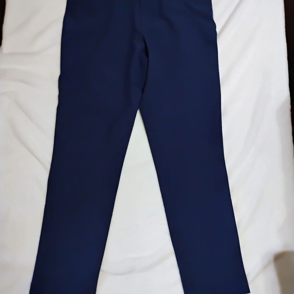 Panama Jack Navy Dress Pants